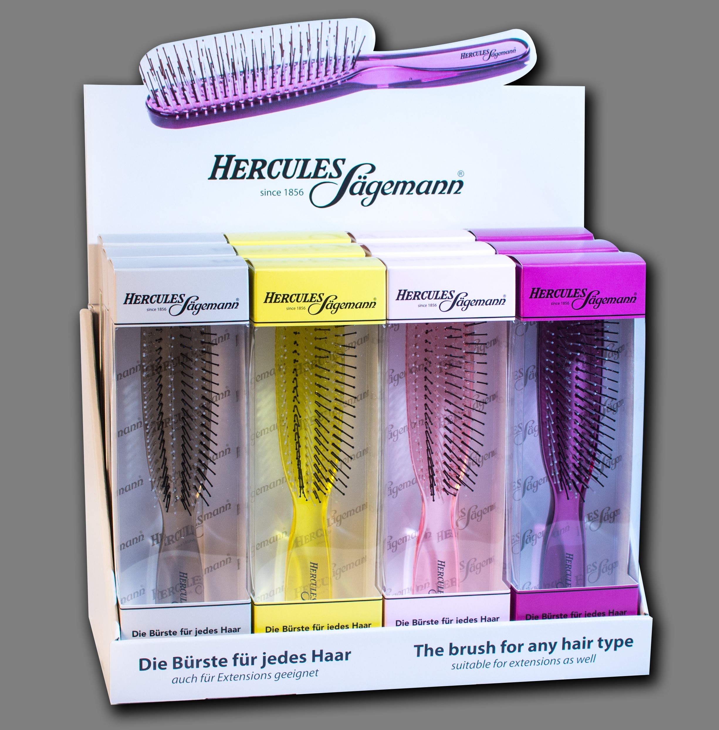 Counter Display with 12 Hercules Scalp Brushes Regular Hair Brushes